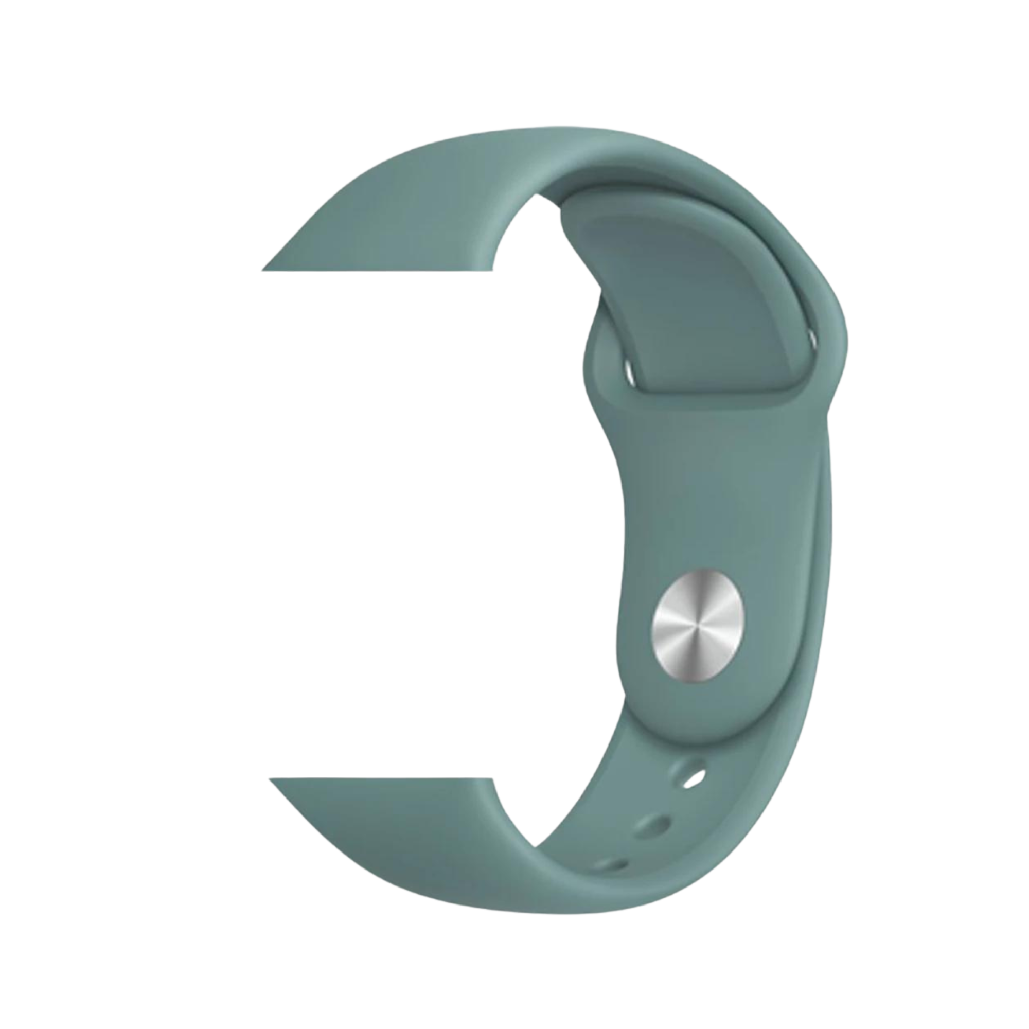 apple watch strap cactus green